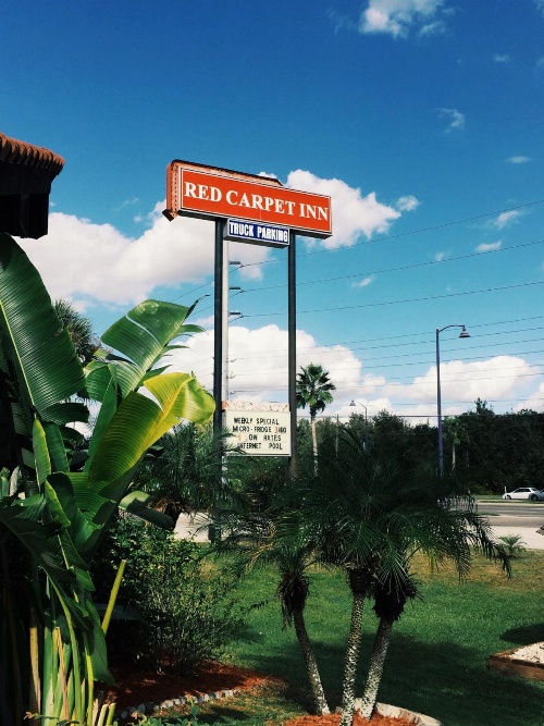 Red Carpet Inn Kissimmee image 3
